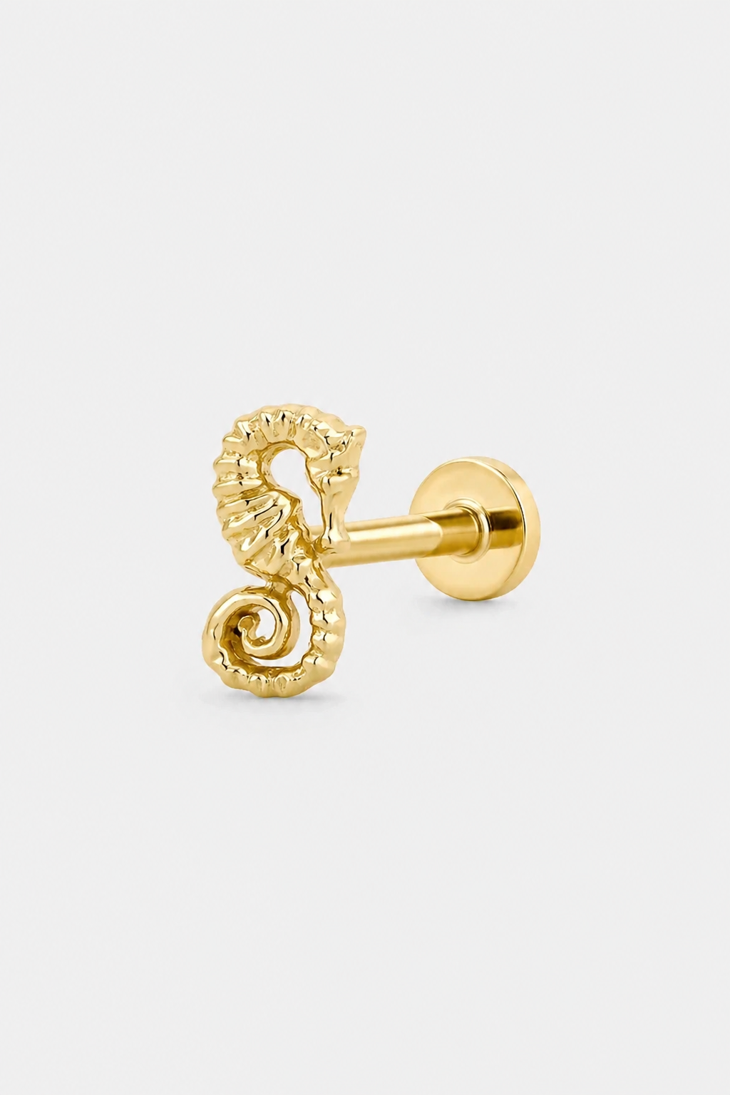 Seahorse Flatback · Yellow Gold · Setup 3