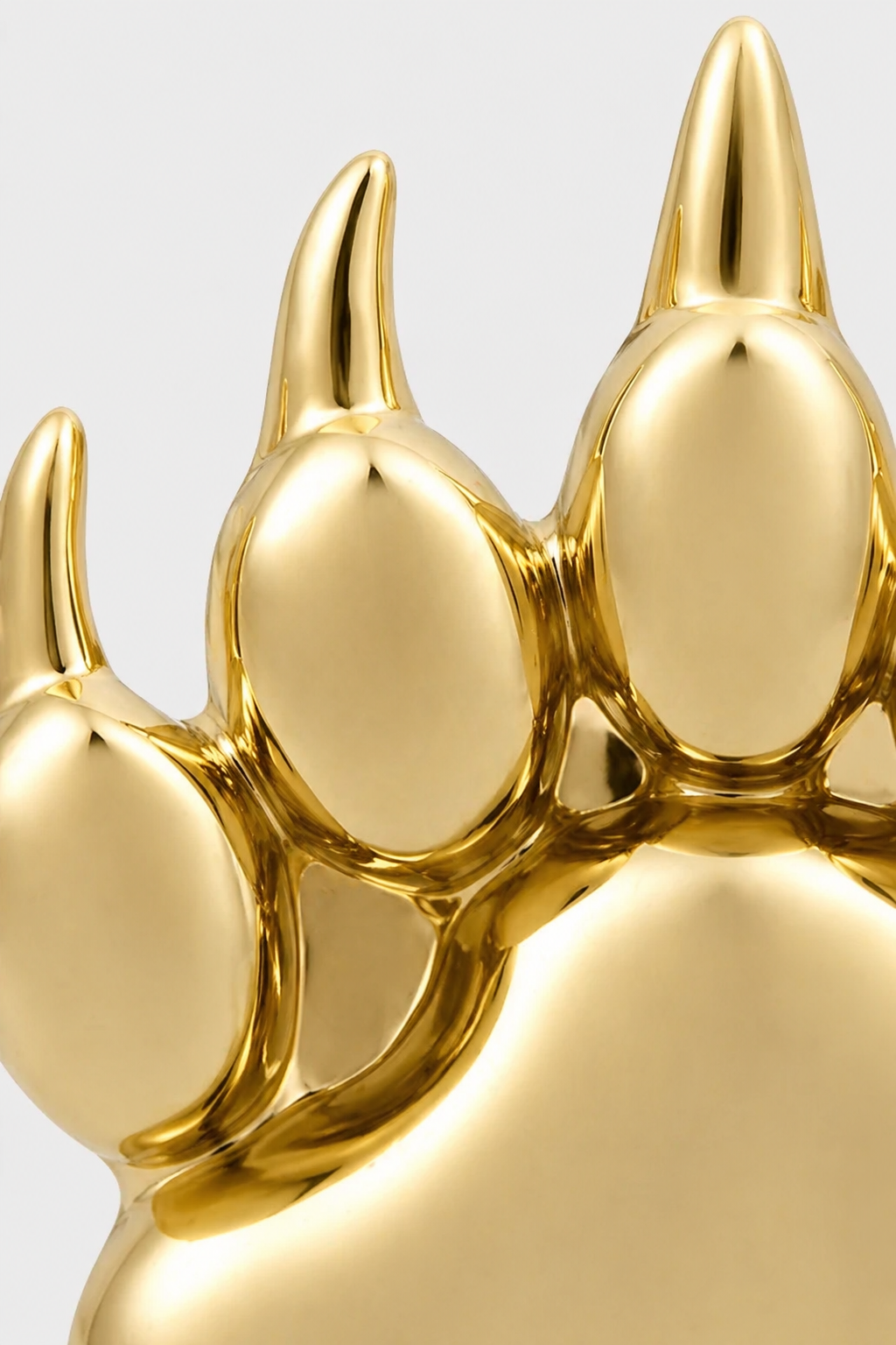 Paw Flatback · Yellow Gold · Setup 4