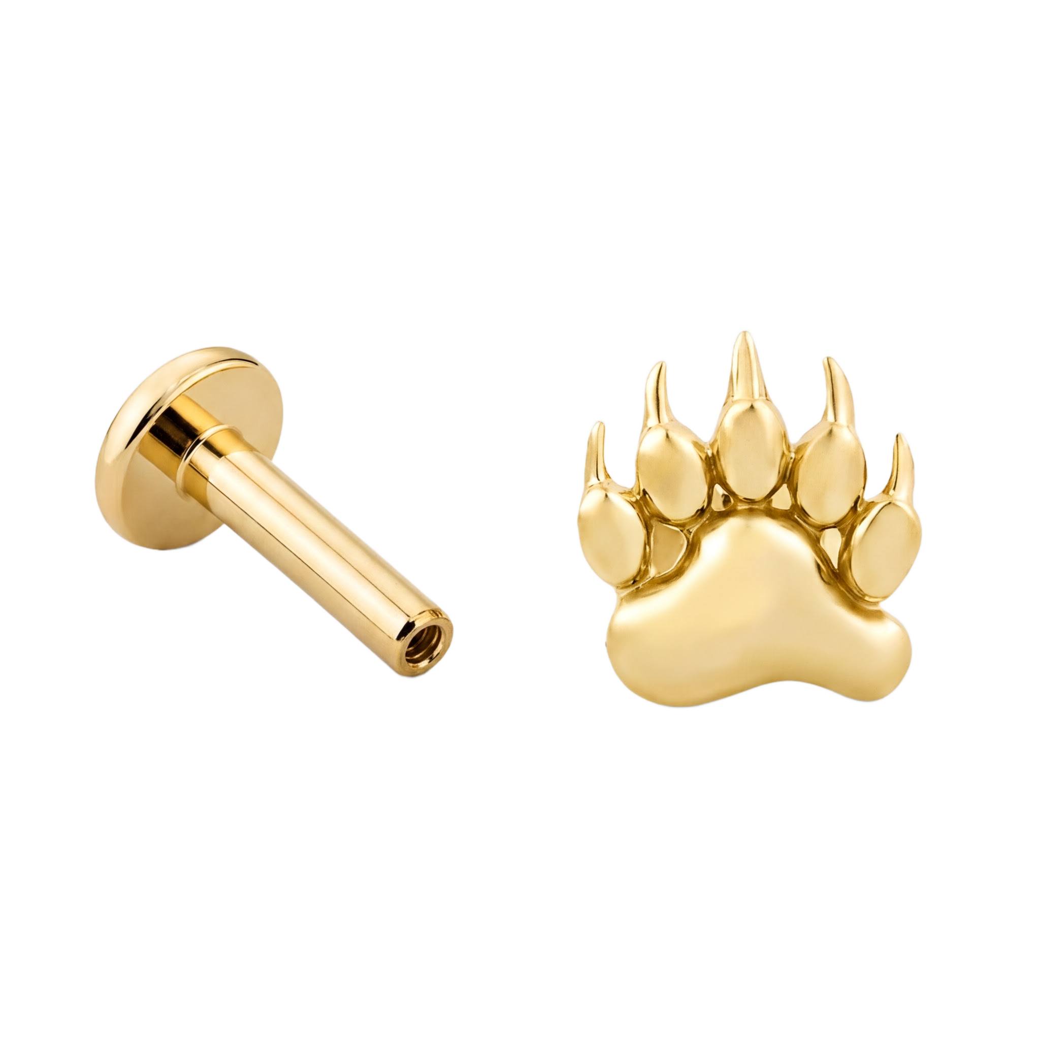 Paw Flatback · Yellow Gold · Hero 3/3 BG Remove