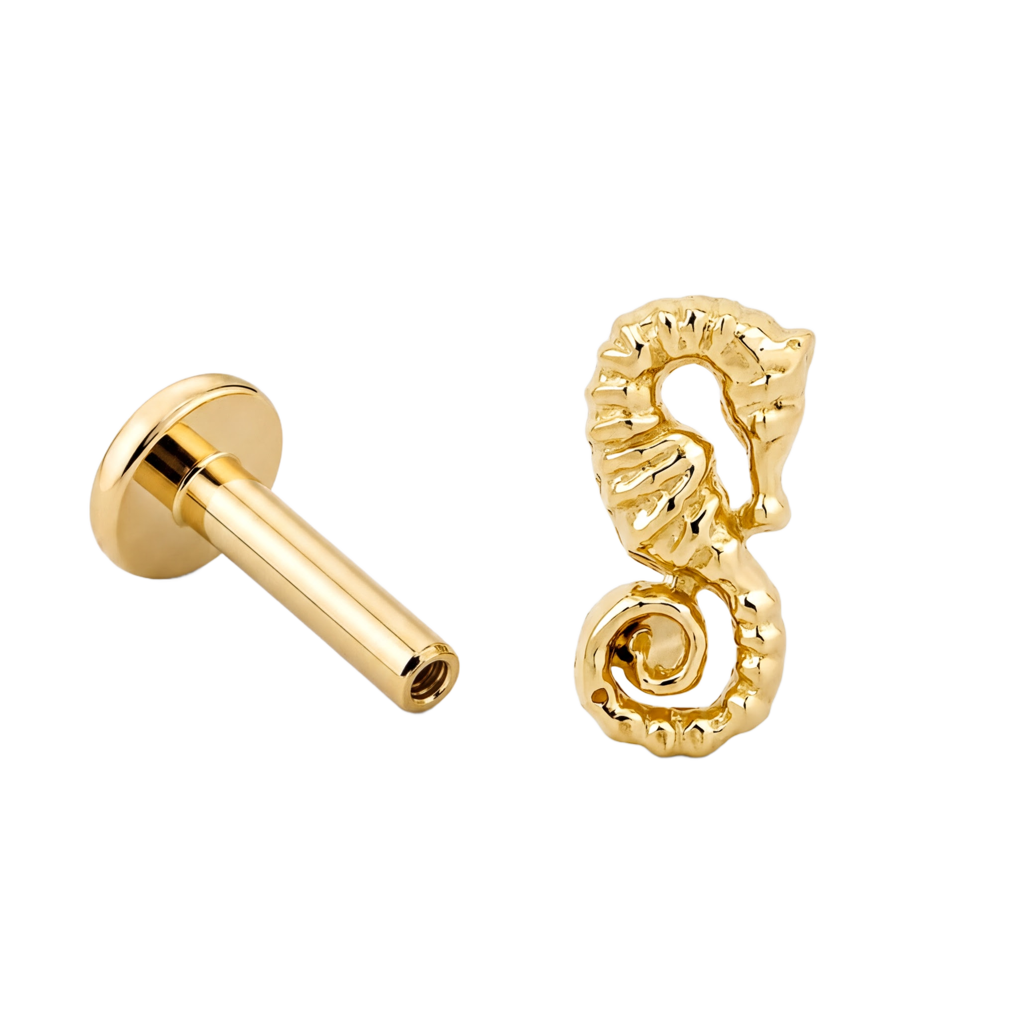 Seahorse Flatback · Yellow Gold · Hero 3/3 BG Remove