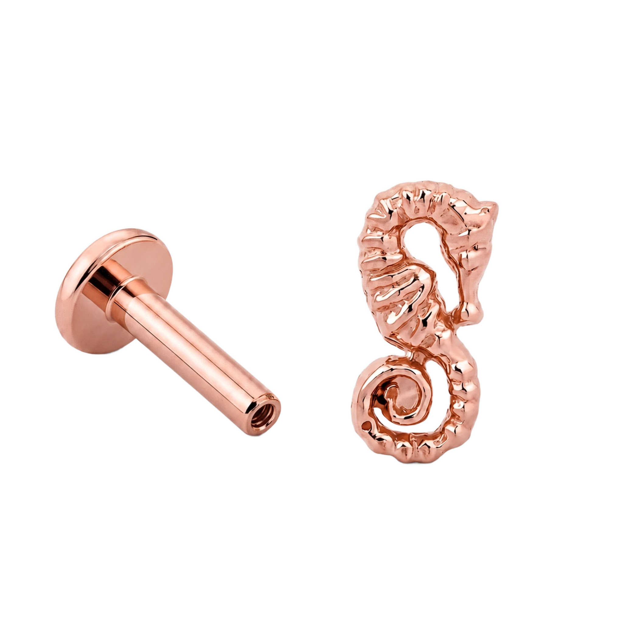 Seahorse Flatback · Rose Gold · Hero 3/3 BG Remove
