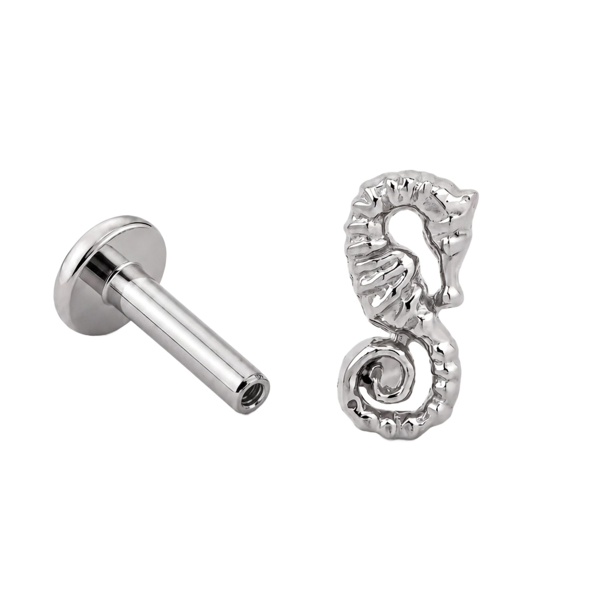 Seahorse Flatback · White Gold · Hero 3/3 BG Remove