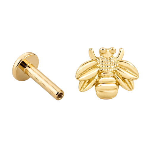 Bee Flatback · Yellow Gold · Hero 3/3 BG Remove [mj-base:001-0013] [mj-variant:001] [mj-role:variant_main] [mj-rank:0]