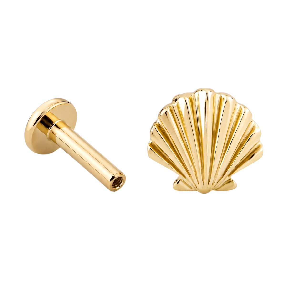 Shell Flatback · Yellow Gold · Hero 3/3 BG Remove