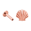 Shell Flatback · Rose Gold · Hero 3/3 BG Remove [mj-base:001-0022] [mj-variant:002] [mj-role:variant_main] [mj-rank:0]
