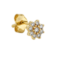 Floral Cluster Studs · Yellow Gold · Hero 3/3 BG Remove [mj-base:005-0087] [mj-variant:001] [mj-role:variant_main] [mj-rank:0]